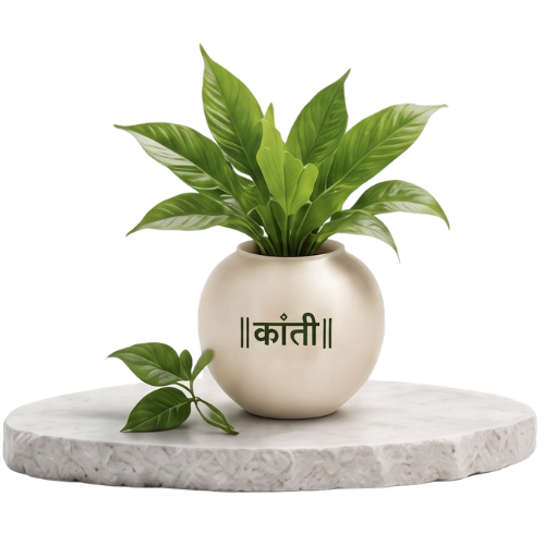 Kaanti Plant Pot